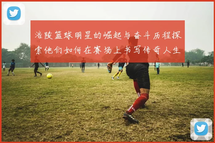 涪陵篮球明星的崛起与奋斗历程探索他们如何在赛场上书写传奇人生