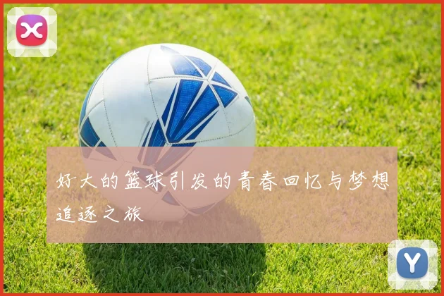 好大的篮球引发的青春回忆与梦想追逐之旅