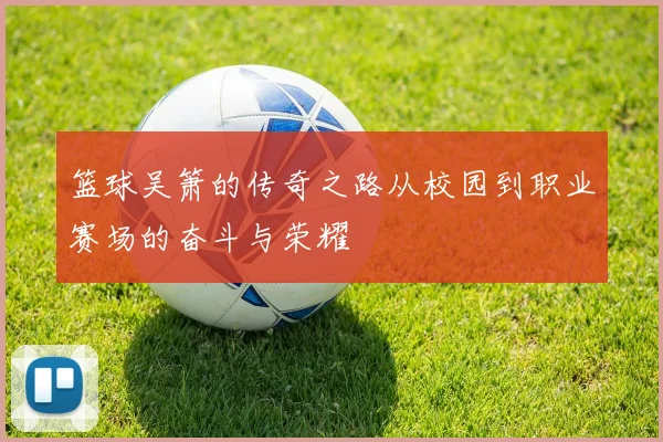 篮球吴箫的传奇之路从校园到职业赛场的奋斗与荣耀