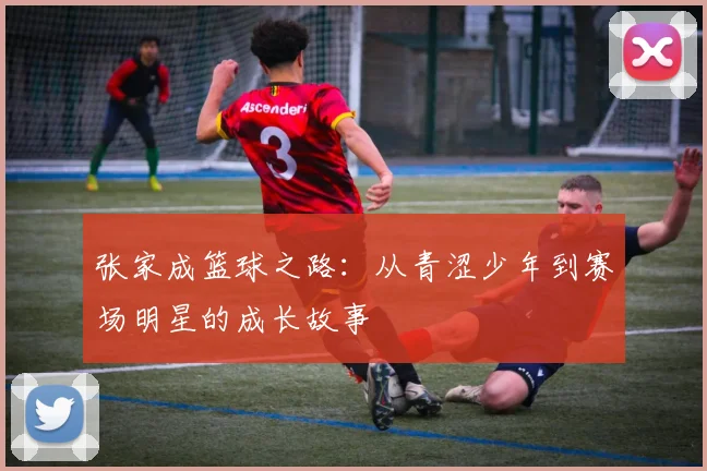 张家成篮球之路：从青涩少年到赛场明星的成长故事